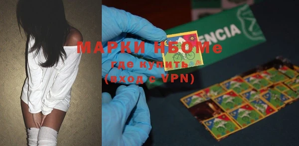прущие грибы Баксан