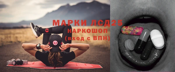 прущие грибы Баксан