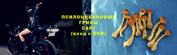 гашик Балахна