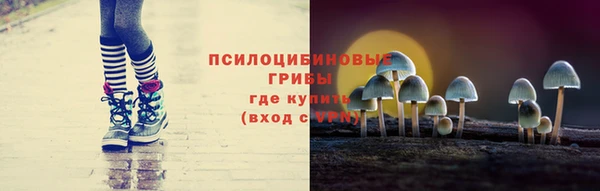 гашик Балахна