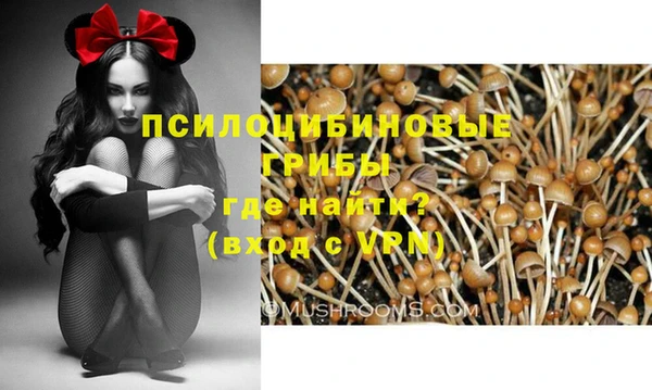 мдпв Балабаново