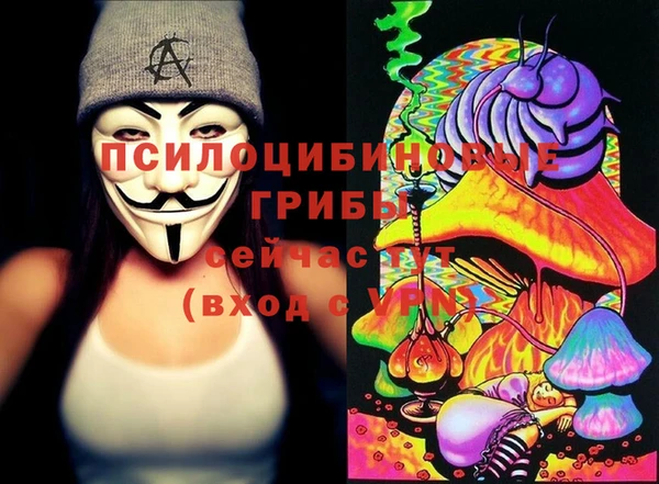 прущие грибы Баксан
