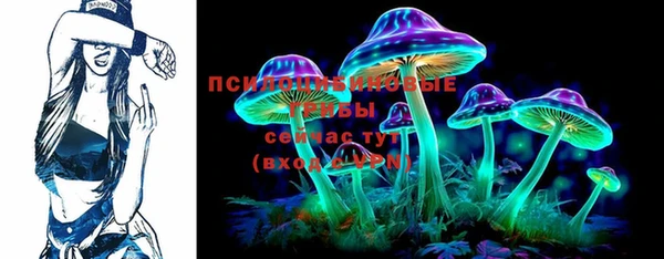 дмт Медногорск