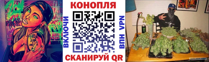 где продают   Яранск  Конопля THC 21% 
